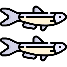 Anchovies